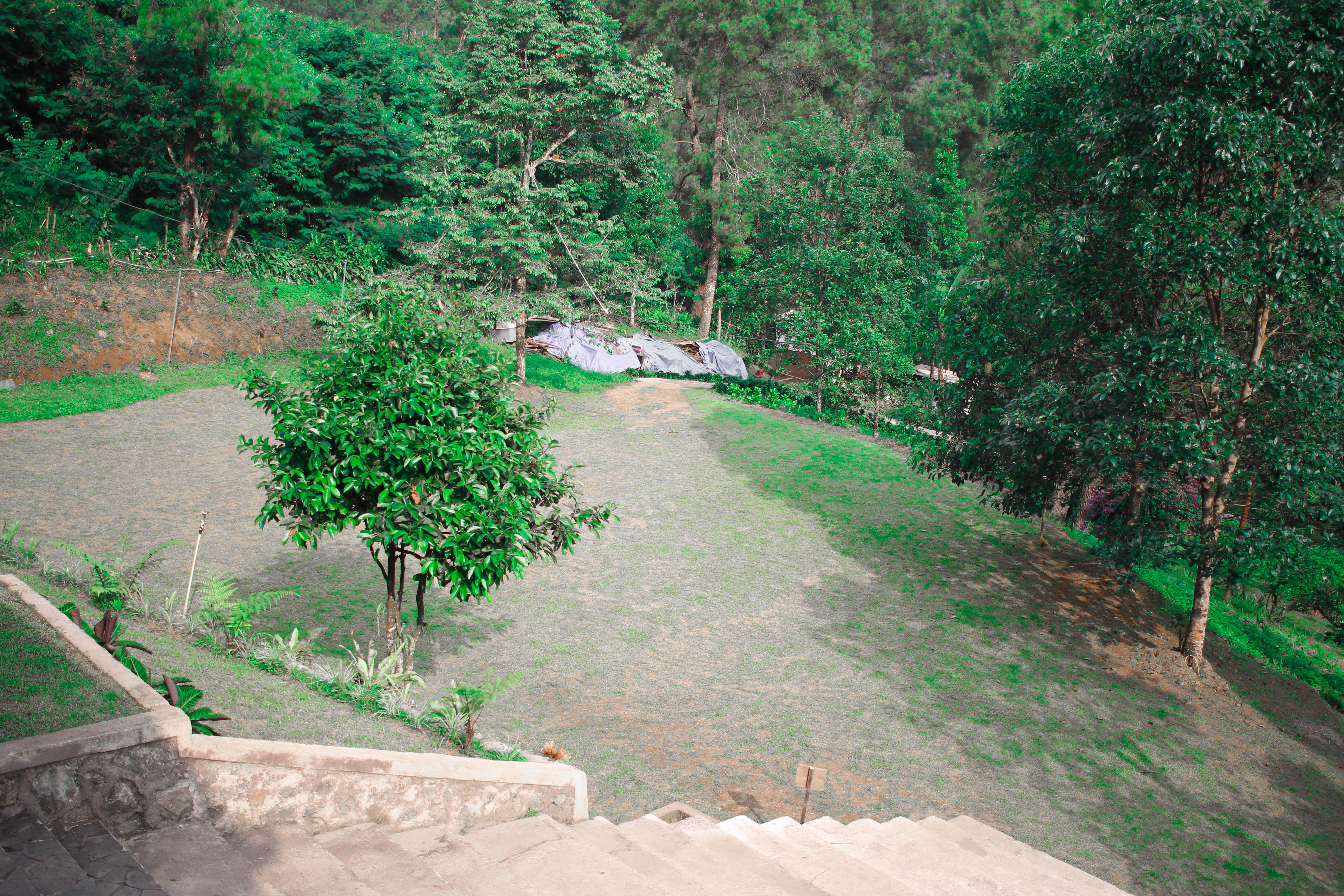Gallery Villa Kayu Pinus - 2